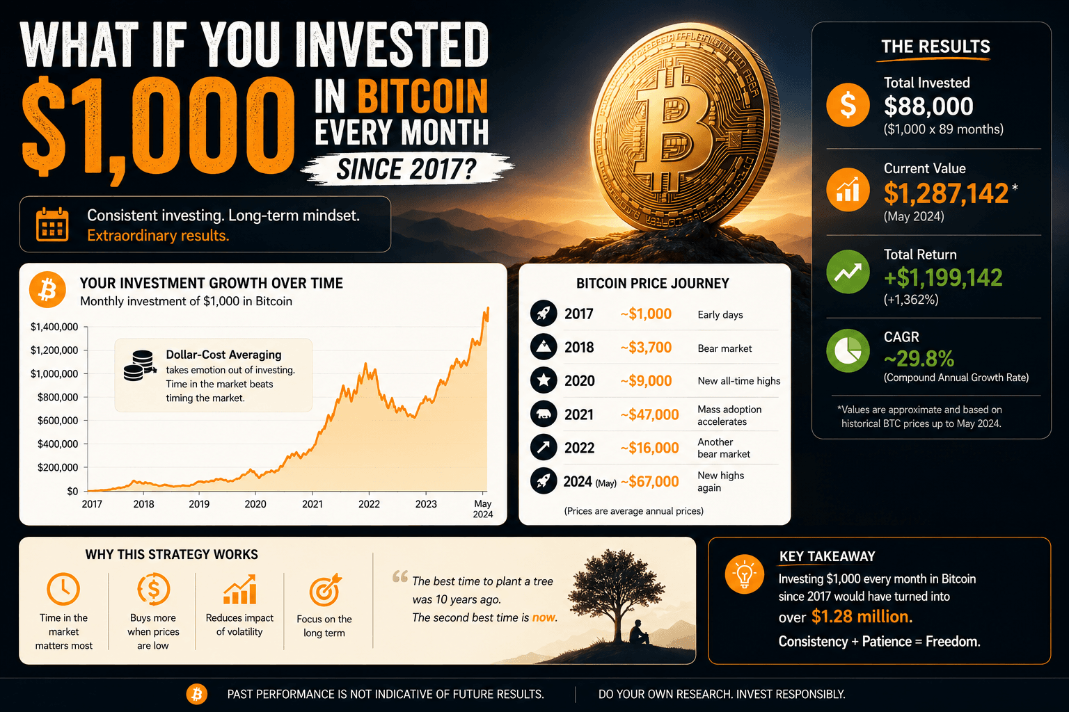 Bitcoin DCA portfolio value chart showing monthly investment growth